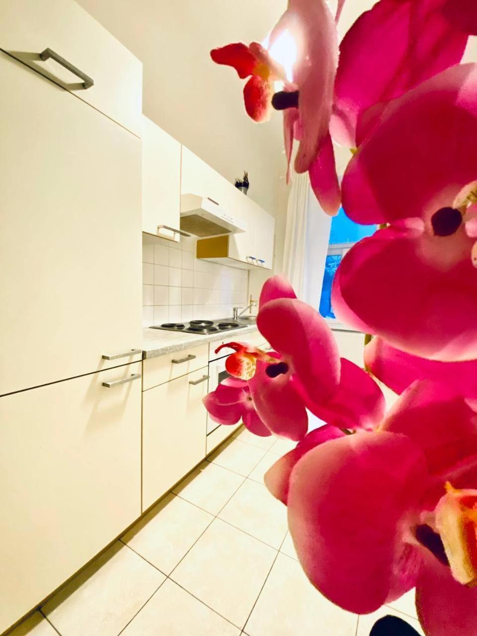 Family Apartment Th8 8 Vienna Esterno foto